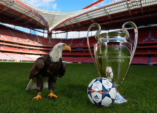 早报：作为预告的预告，世界杯抽签真的要来了（早报：再度预热，世界杯抽签即将揭晓）